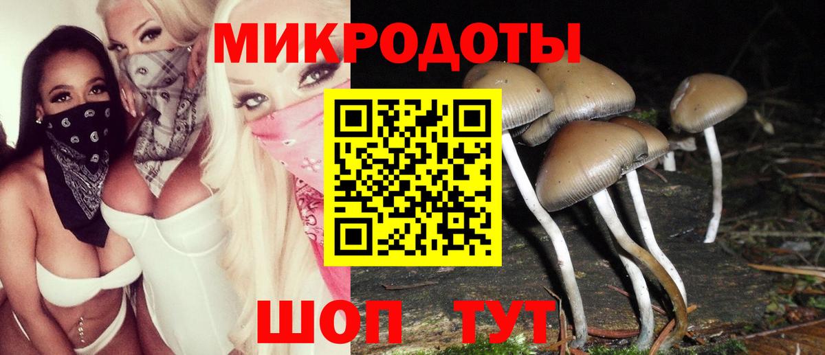 Галлюциногенные грибы Psilocybine cubensis  Вход с VPN  сколько стоит  Магадан  Псилоцибиновые грибы мицелий 